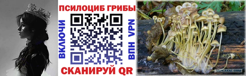Псилоцибиновые грибы Psilocybine cubensis  наркота  МЕГА онион  Отрадная 
